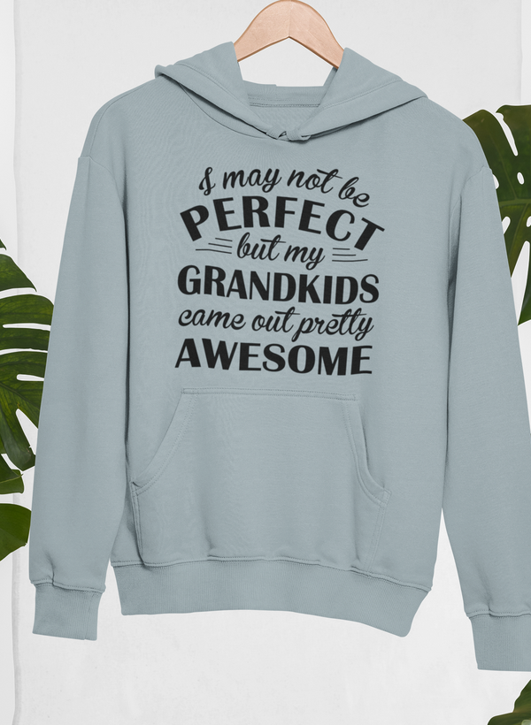 I May Not Be Perfect Hoodie