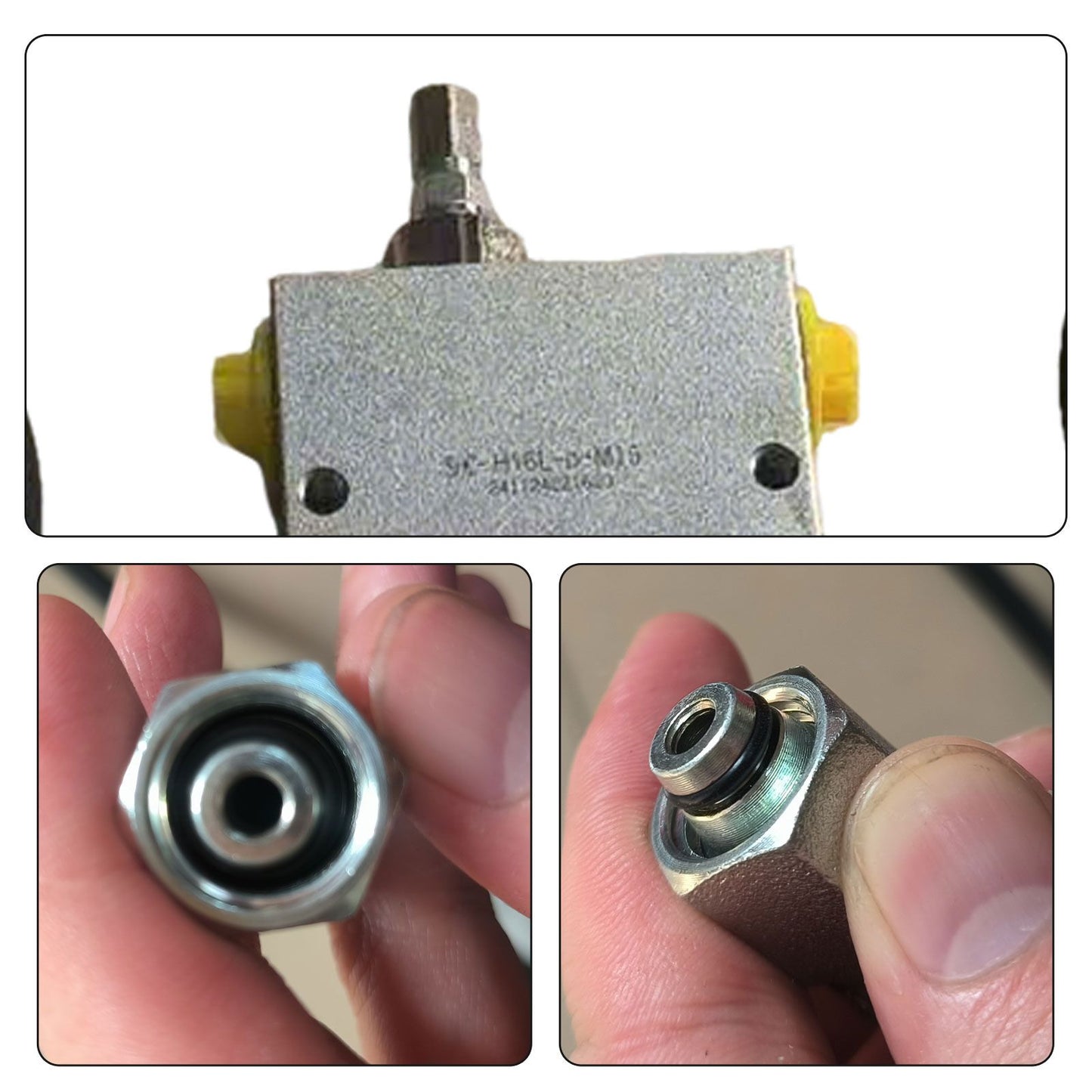 540029021