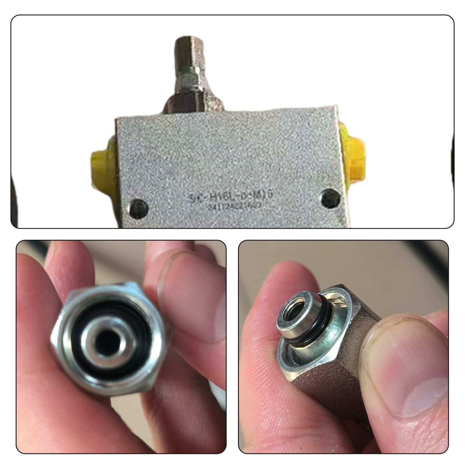 540029021