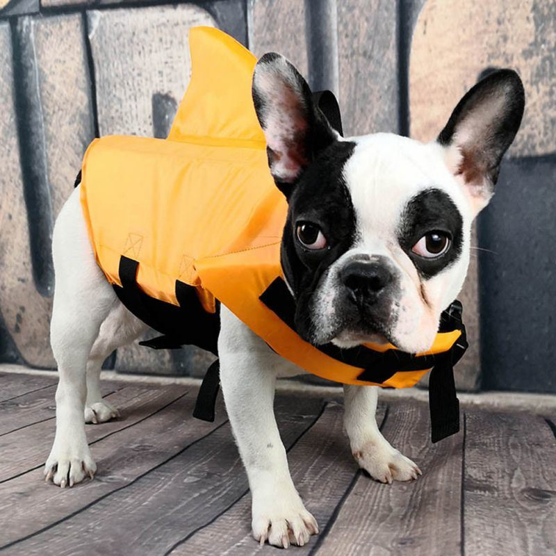 Summer Dog Life Vest Shark Pet Life Vest Jacket Dog Clothes Dog Safety Swimwear Safety Swimming Suit For Small Medium Large Dog