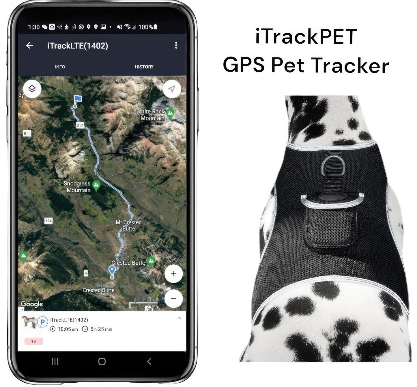 Portable GSM GPS Puppy Tracking Collar Waterproof Rechargeable Tracker Size:XS