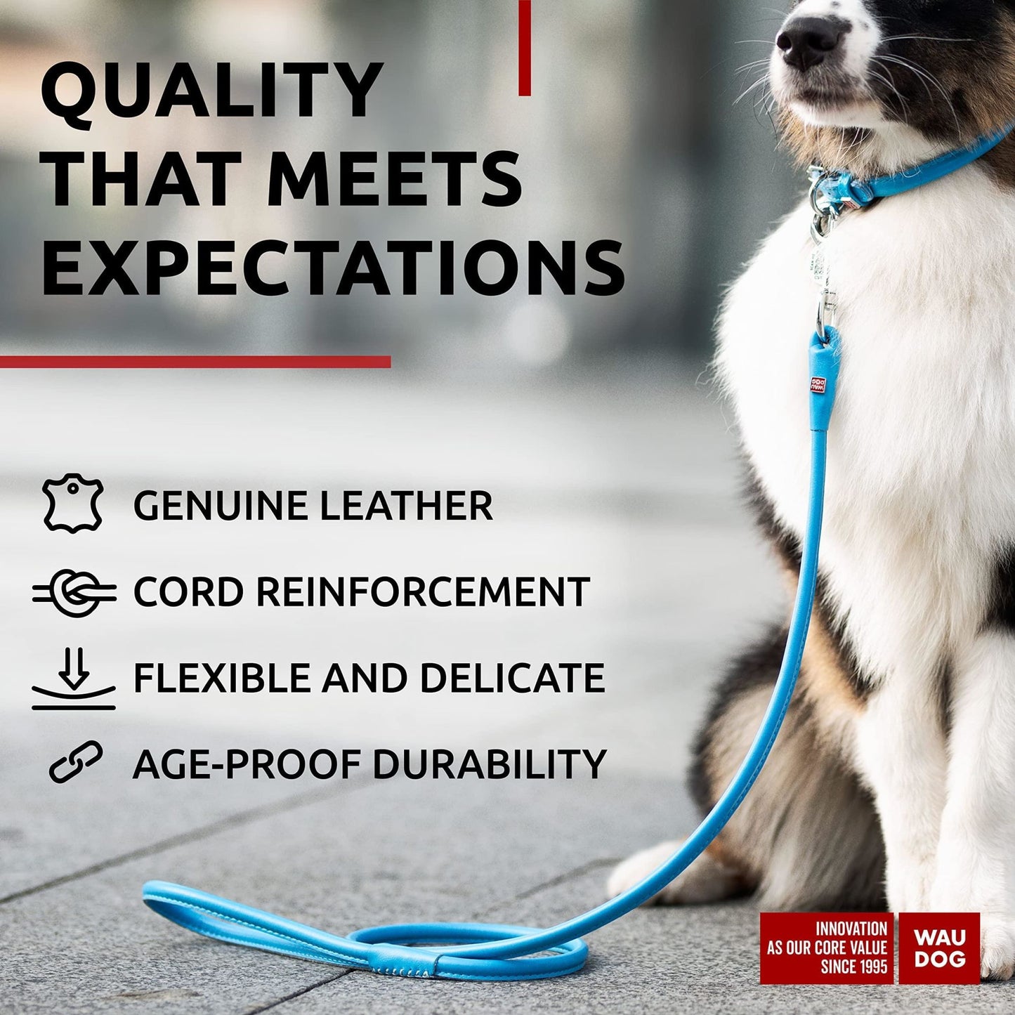 Blue Rolled Leather Dog Leash 4Ft x 0.5 in for Small Medium and Large Dogs Heavy Duty Leather Puppy Leash for Outdoor Walking Running Training