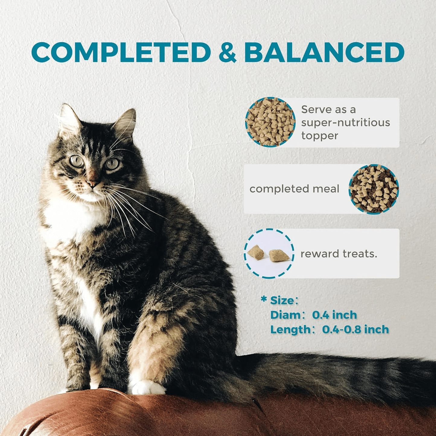 Freeze Dried Raw Cat Food Grain Free Mighty Bites for Cats 16oz High Protein Cat Food for All Breeds and Life Stages, Chicken & Pigeon