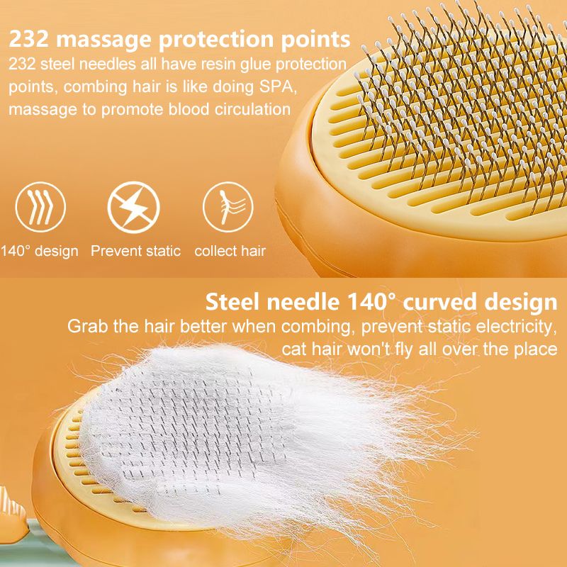 523404891