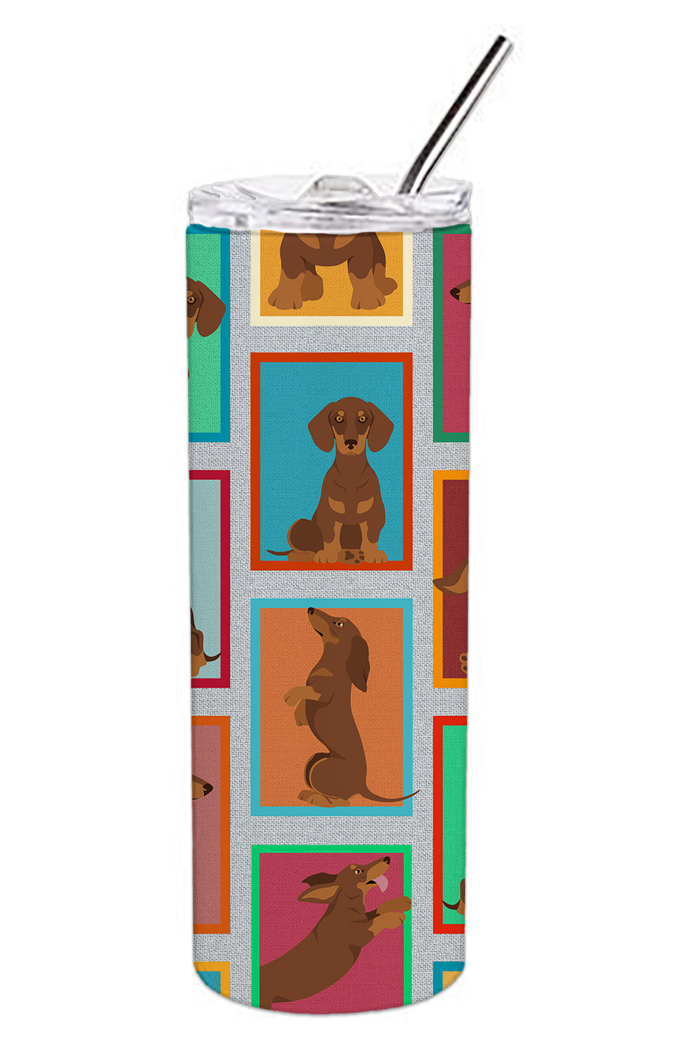 Lots of Chocolate and Tan Dachshund Stainless Steel Skinny Tumbler Vacuum Double Walled Reusable Insulated Tumbler Travel Cup for Coffee Cocktails Gift with Lid, 20 oz