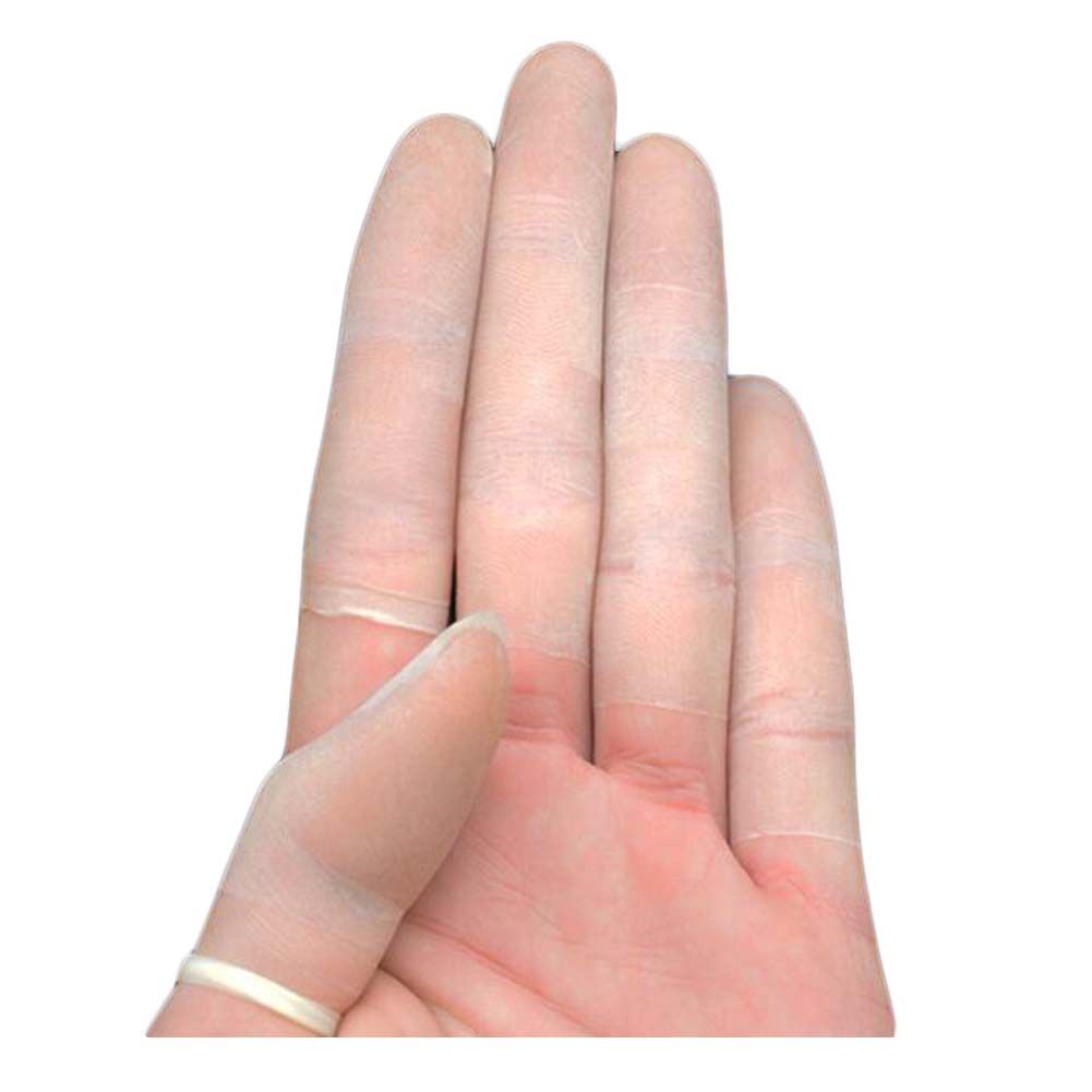 538630081