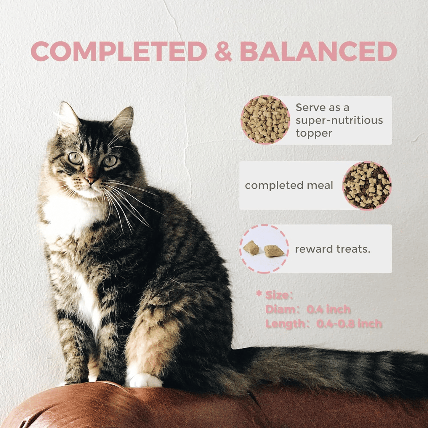 Freeze Dried Raw Cat Food Grain Free Mighty Bites for Cats 16oz High Protein Cat Food for All Breeds and Life Stages, Chicken & Pigeon