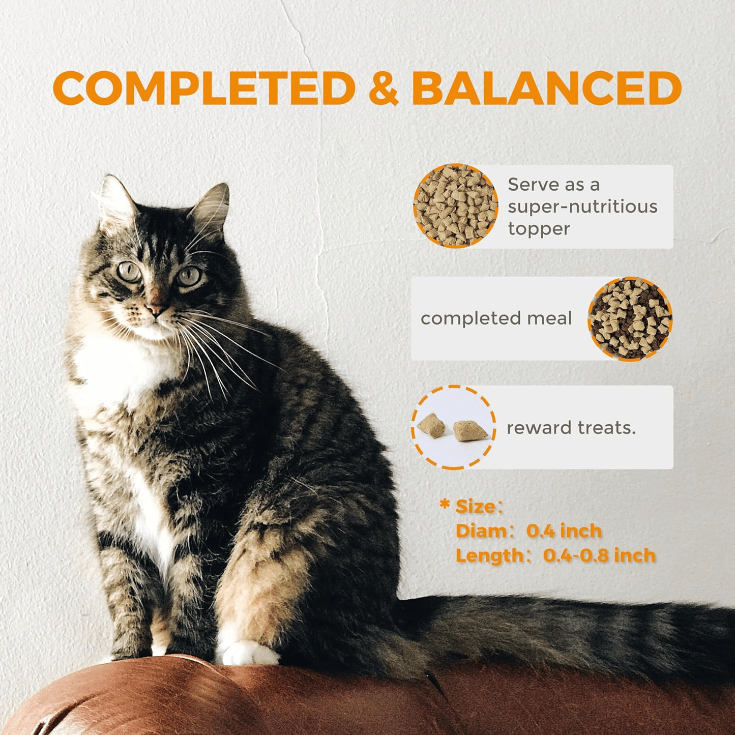 Freeze Dried Raw Cat Food Grain Free Mighty Bites for Cats 16oz High Protein Cat Food for All Breeds and Life Stages, Chicken & Pigeon