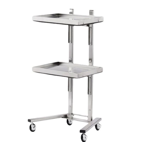 2 Tier Beauty Salon SPA Rolling Cart with Double Storage Tray Stainless Steel