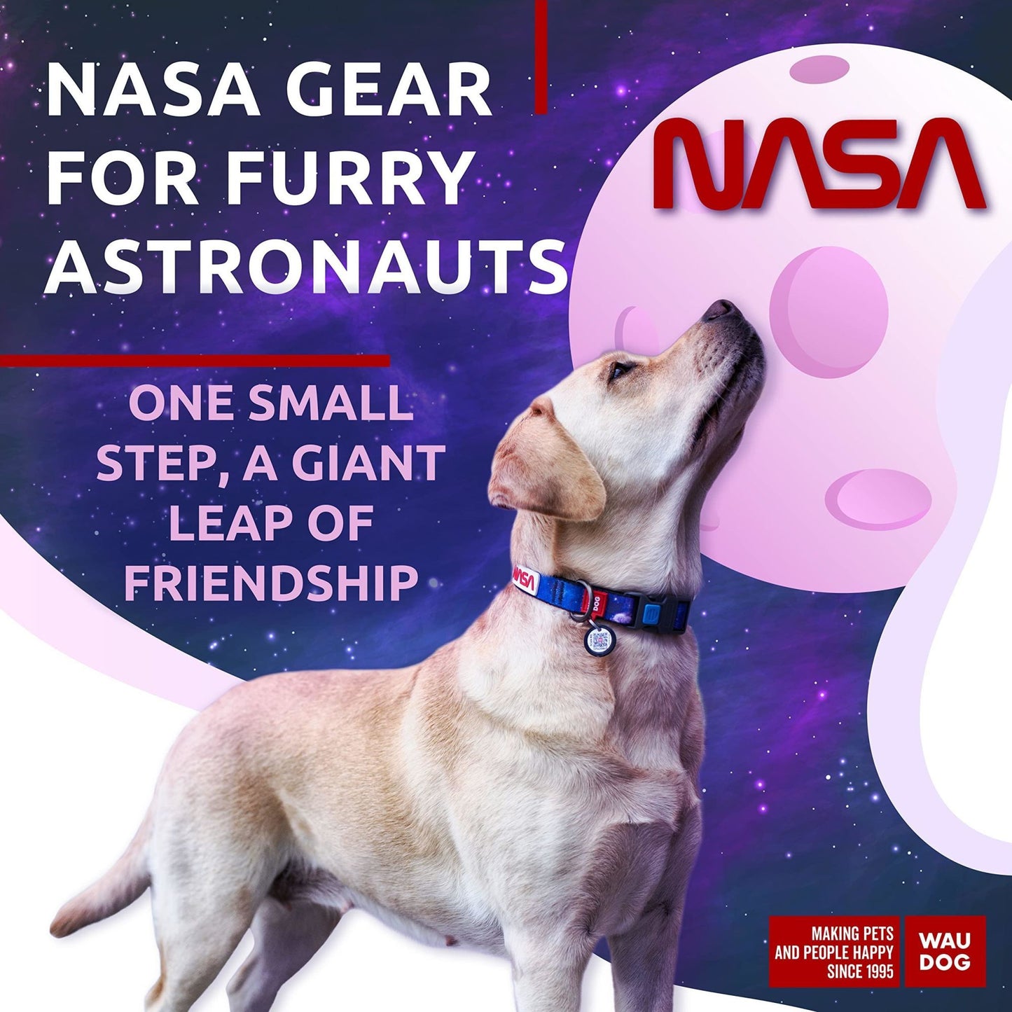 Nylon Dog Collar Adjustable for Large Dogs Small Medium Dogs for Boy Girl Dog Collars with Durable Plastic Buckle 12-19 inch Neck x 1 inch Wide Nasa Pattern