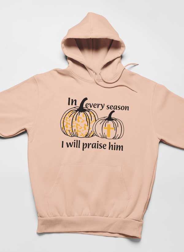 In Every Season I Will Praise Him Hoodie