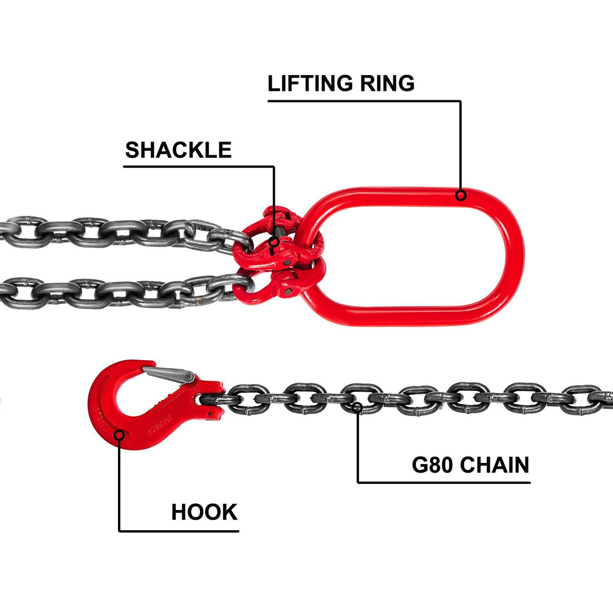 564608251