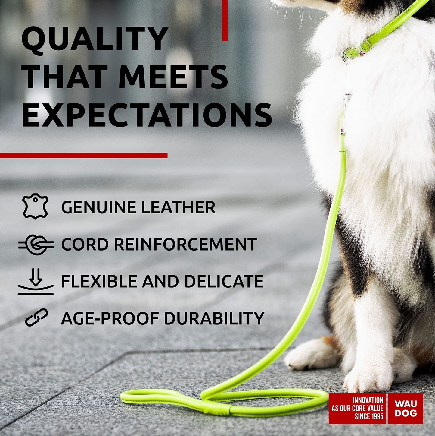 Rolled Leather Dog Leash 4Ft x 0.5 in for Small Medium and Large Dogs Heavy Duty Leash for Outdoor Walking Running Training Green Color