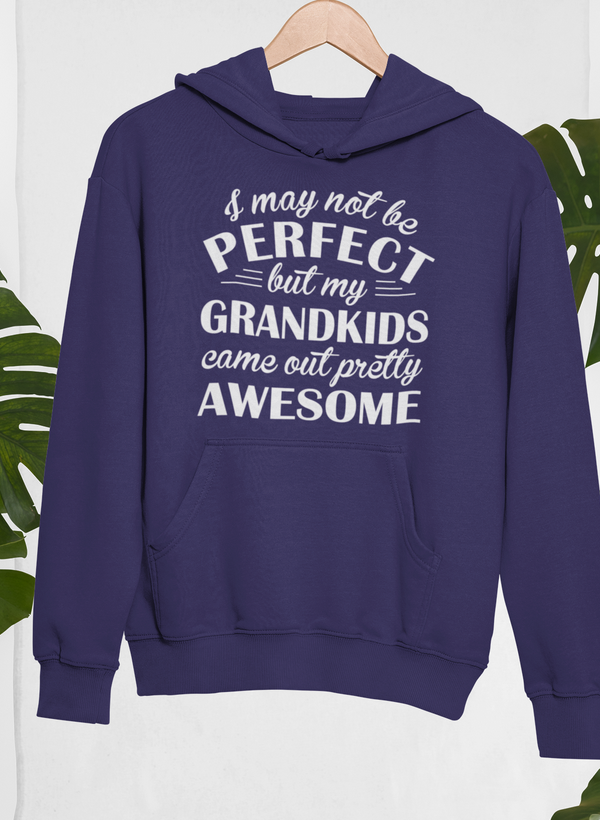 I May Not Be Perfect Hoodie