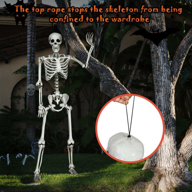 567137381