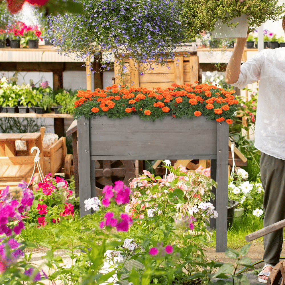 538750291