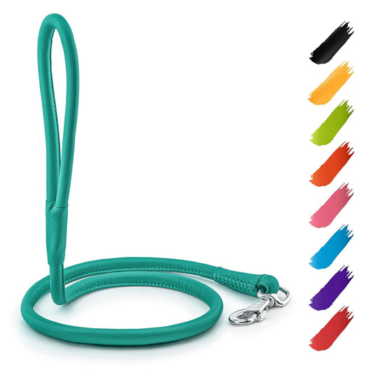 Rolled Leather Dog Leash 6Ft * 0.5 in for Small Medium and Large Dogs Heavy Duty Leather Puppy Leash for Outdoor Walking Running Training Strong Dog Leashes for Large Breed Dogs Mint Color