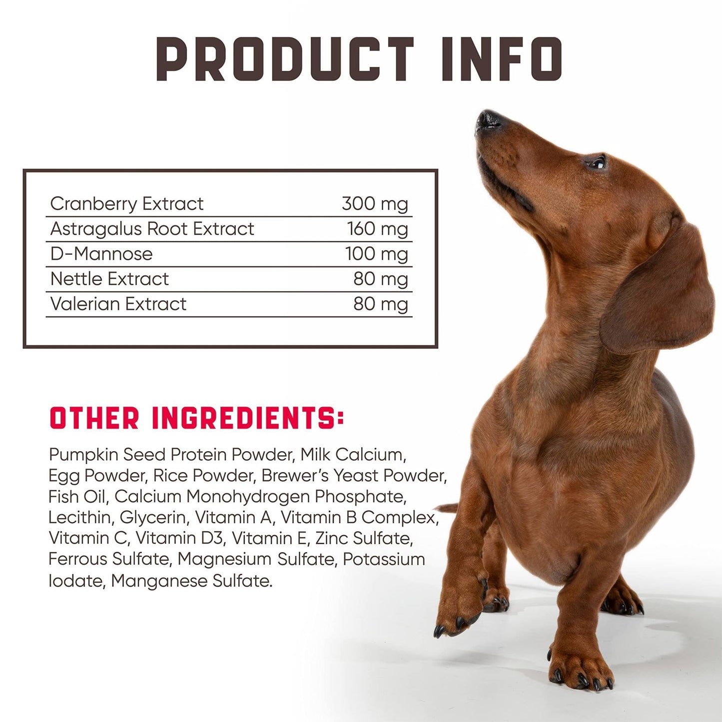 180 Cranberry Chews Dog Cranberry Supplement Natural Aid for Urinary Tract Bladder Kidney Health Immune Support for Dogs of All Ages and Breeds Duck Flavor