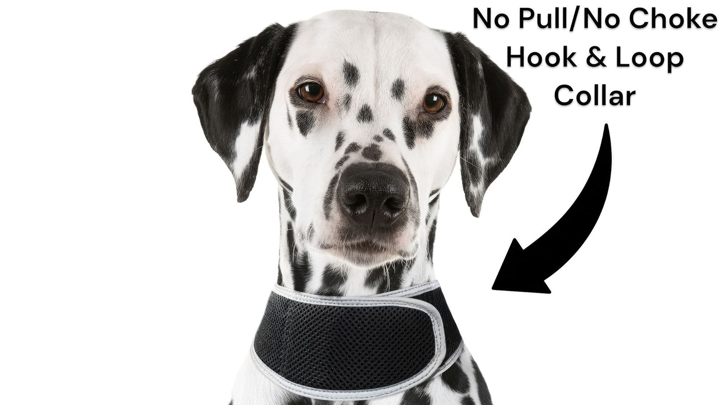 Portable GSM GPS Puppy Tracking Collar Waterproof Rechargeable Tracker Size:XS