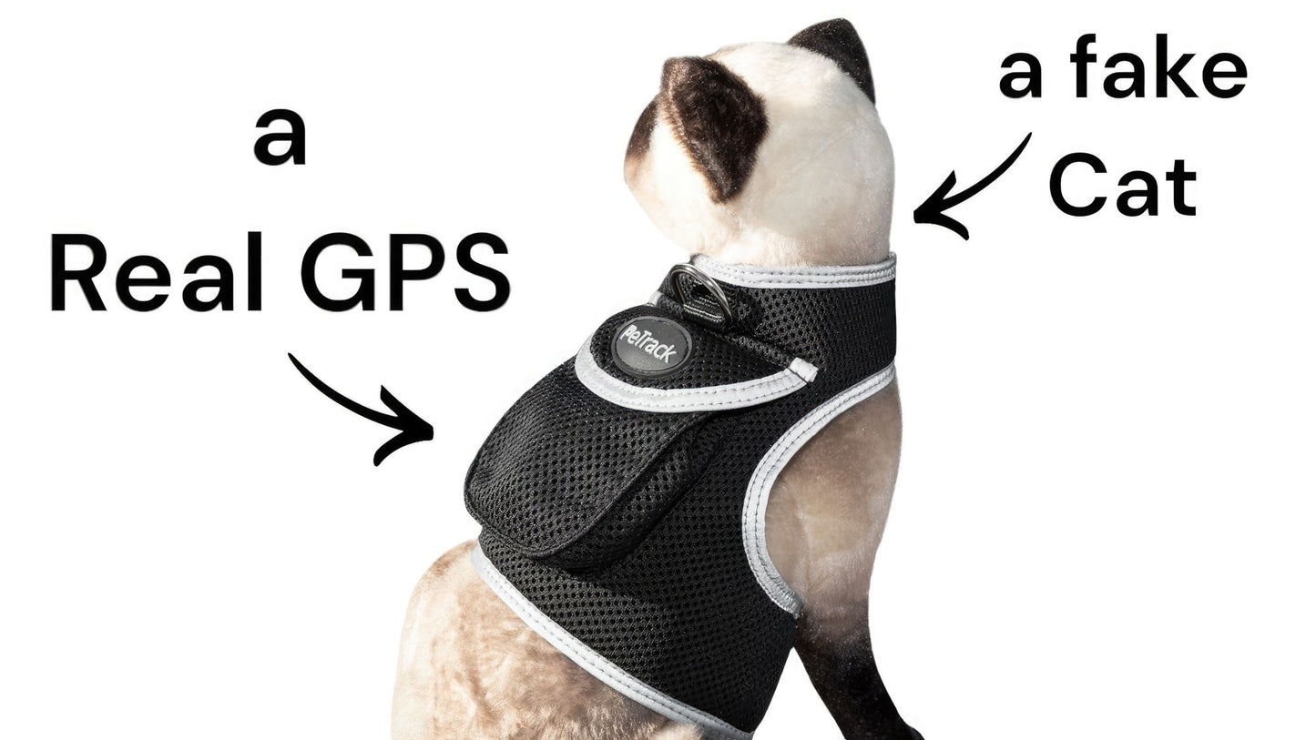 Portable GSM GPS Puppy Tracking Collar Waterproof Rechargeable Tracker Size:XS