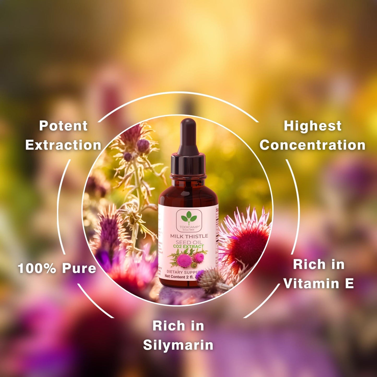 CO2 Extracted Milk Thistle Seed Oil 100% Potent Liver Support Milk Thistle Oil Rich in Silymarin Zinc Omegas Tocopherols Pure Milk Thistle Drops 2 Fl Oz