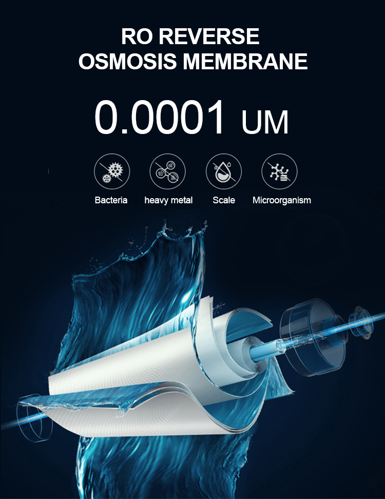 524806821