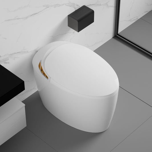 538628351