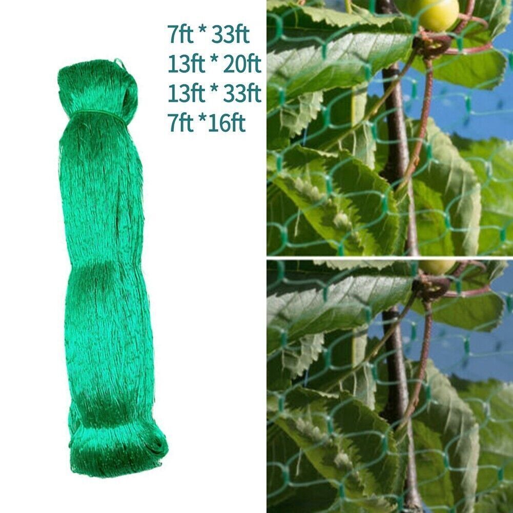 536782661