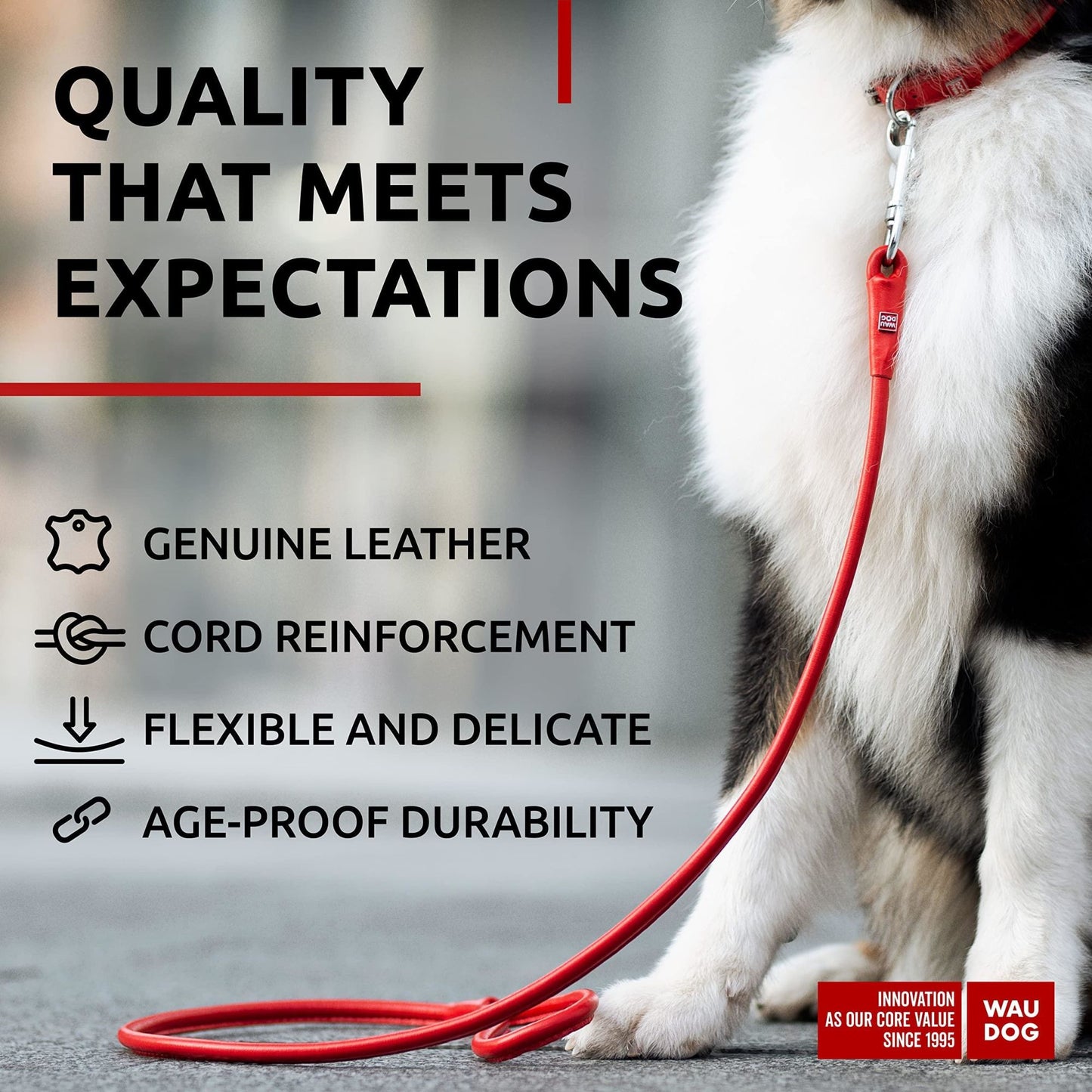 Rolled Leather Dog Leash 6Ft x 0.5 in for Small Medium and Large Dogs Heavy Duty Leash for Outdoor Walking Running Training Red Color