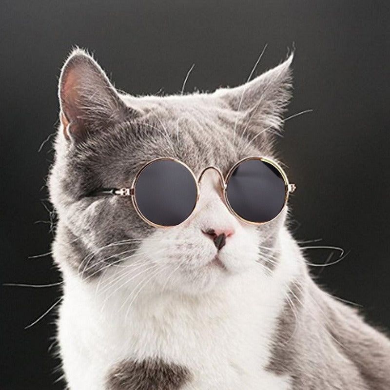 Purrfect Shades – Vintage Round Cool Cat & Dog Sunglasses for Stylish Pets