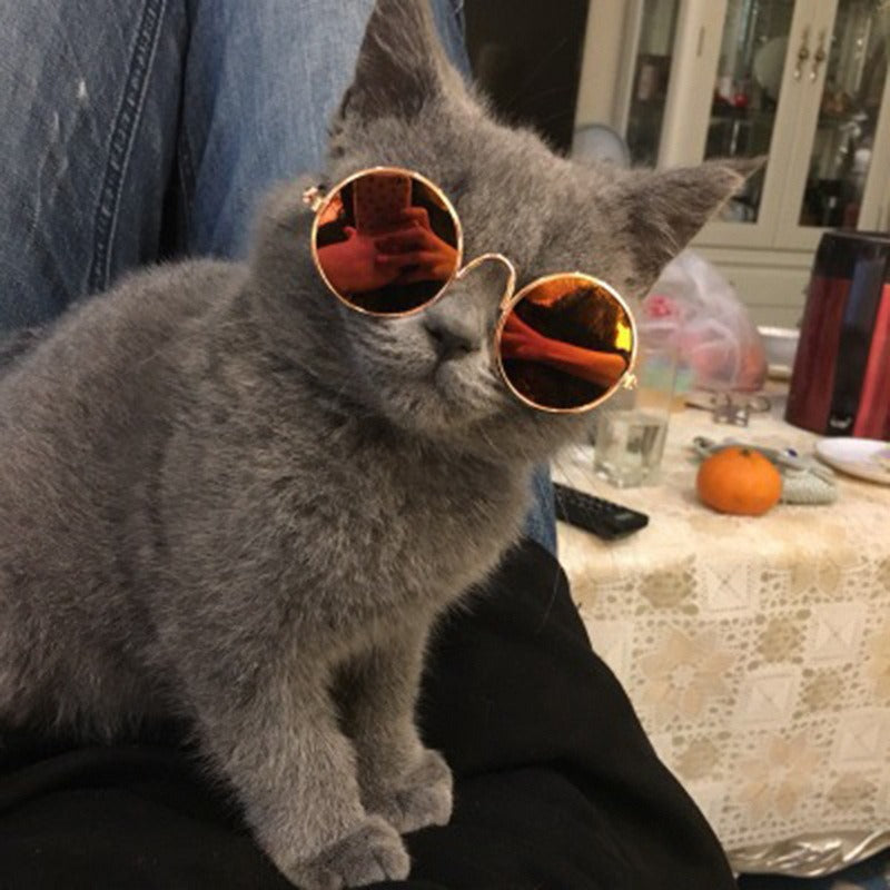 Purrfect Shades – Vintage Round Cool Cat & Dog Sunglasses for Stylish Pets
