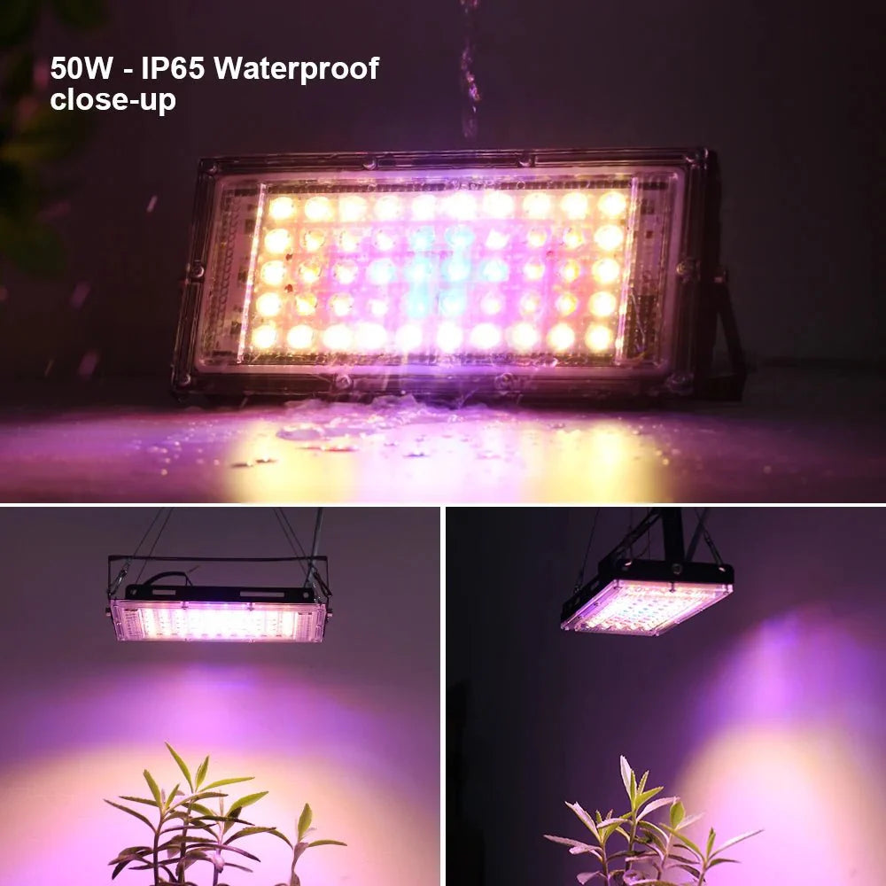 Photosynthesis Overlord: The 50W-150W LED Grow Light That Turns Plants Into Beasts