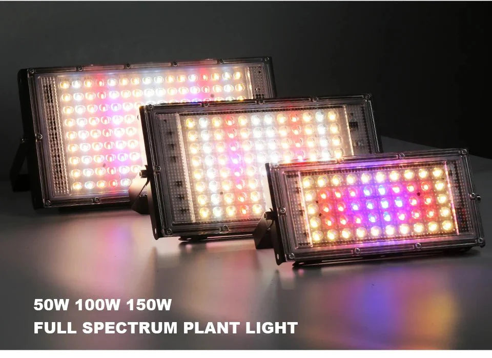 Photosynthesis Overlord: The 50W-150W LED Grow Light That Turns Plants Into Beasts