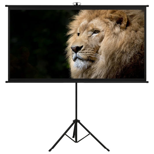 Projection Screen with Tripod 108" 16:9