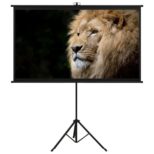 Projection Screen with Tripod 72" 16:9