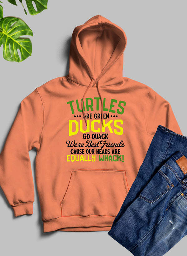 Turtles Are Green Ducks Go Quack Were Best Friends Cause Our Heads Are Equally Whack Hoodie