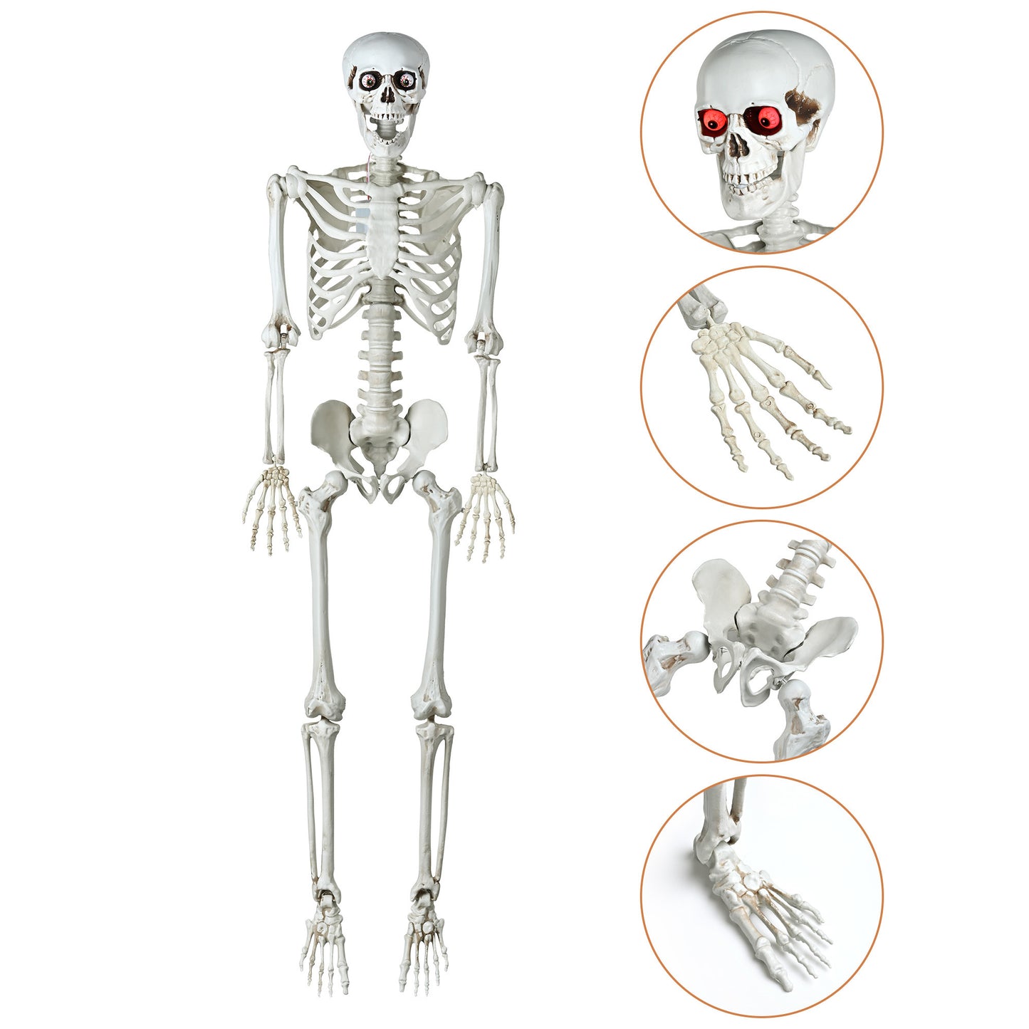 Skeleton Bones Halloween