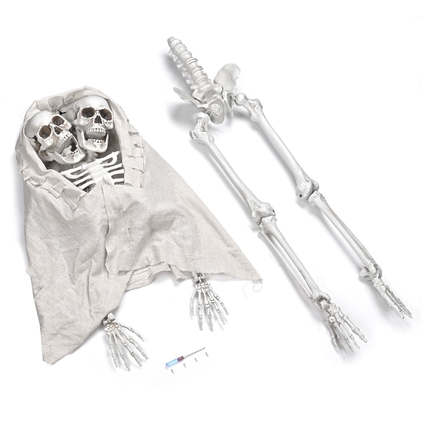 Two-Headed Skeleton Halloween