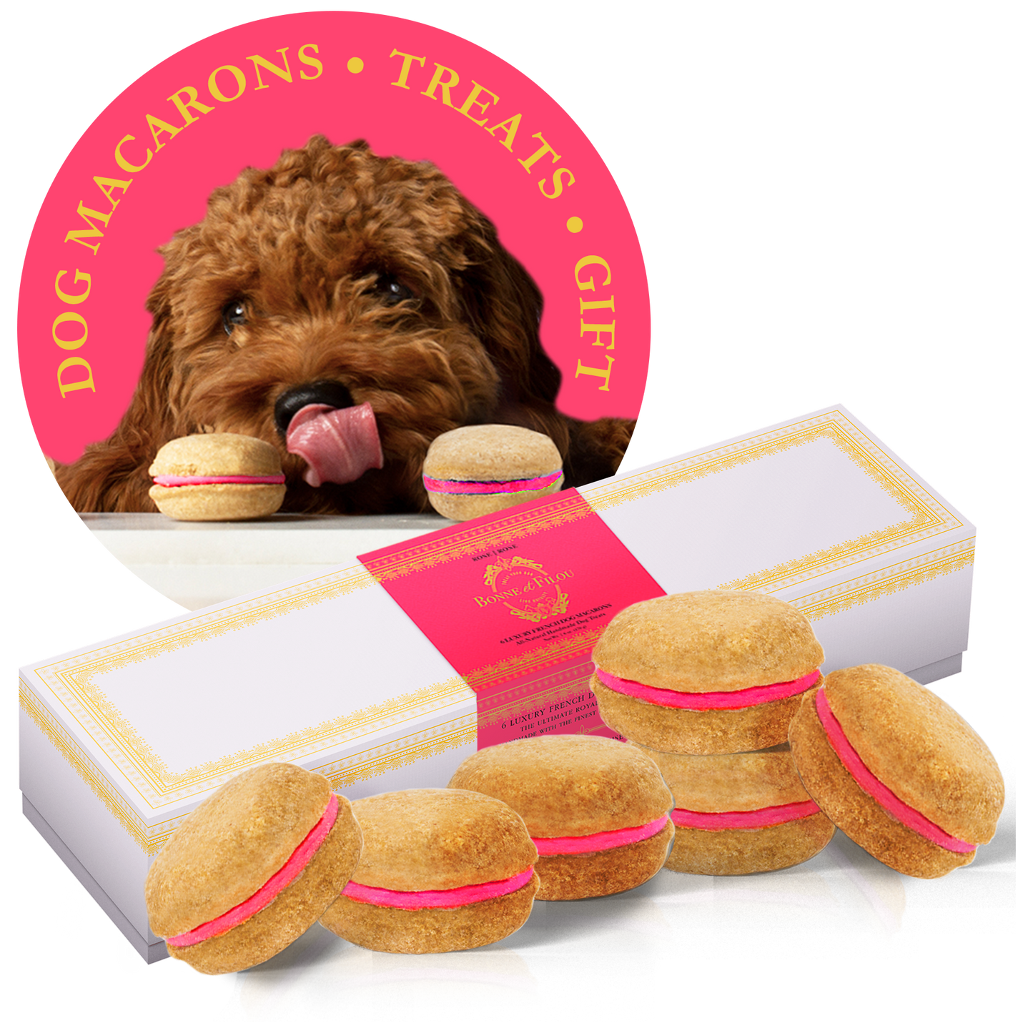 Dog Macarons - Count of 6 (Dog Treats | Dog Gifts)