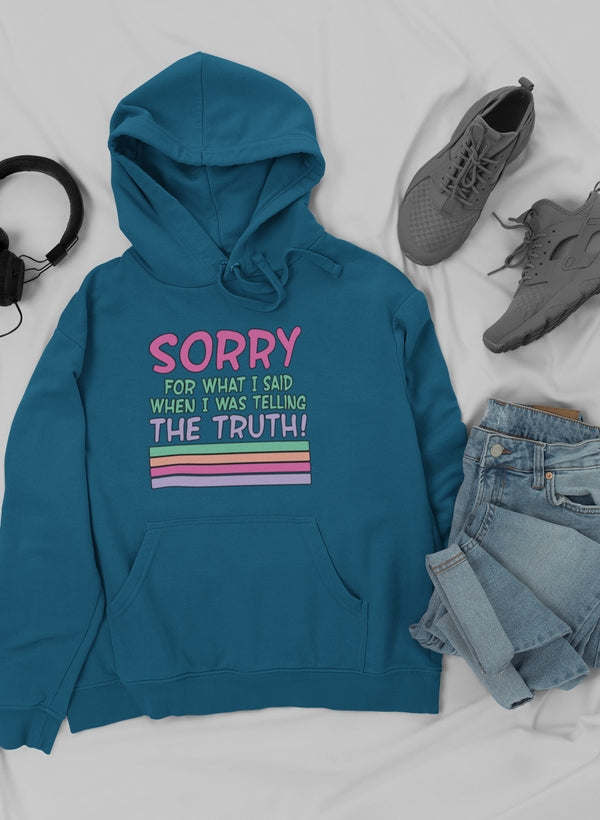 Sorry For What I Said When I Was Telling The Truth Hoodie